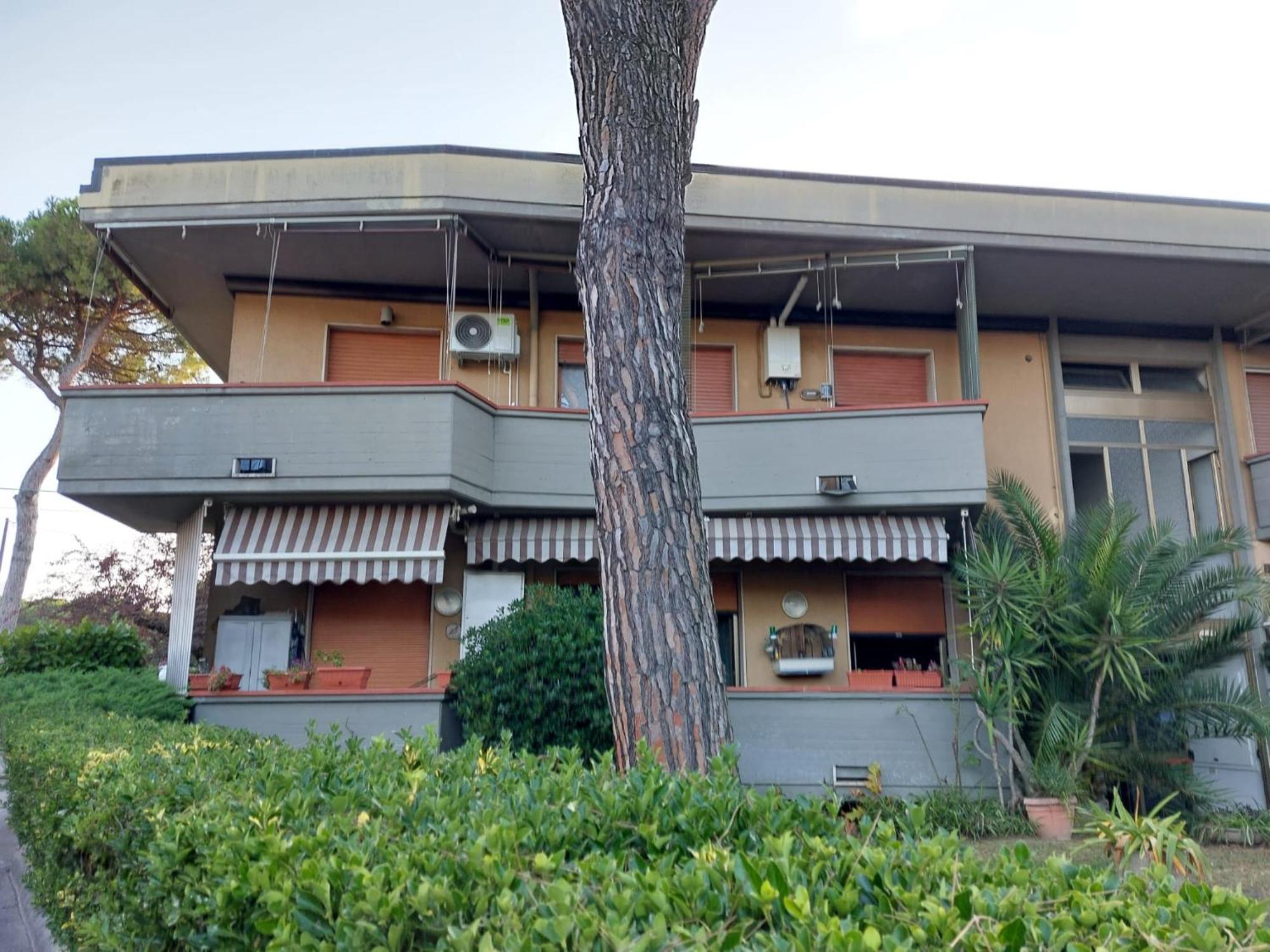 מרינה די מסה Appartamento Al Mare Di Liguria E Toscana מראה חיצוני תמונה